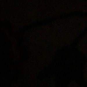 Meet your Posher, Lee